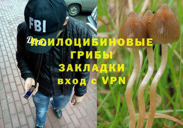 дживик Новокубанск