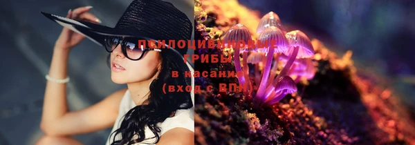 дживик Новокубанск