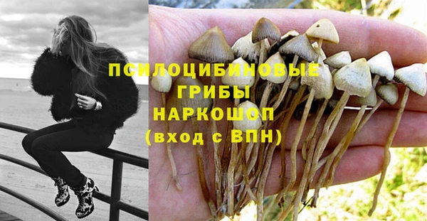 ALPHA PVP Новодвинск