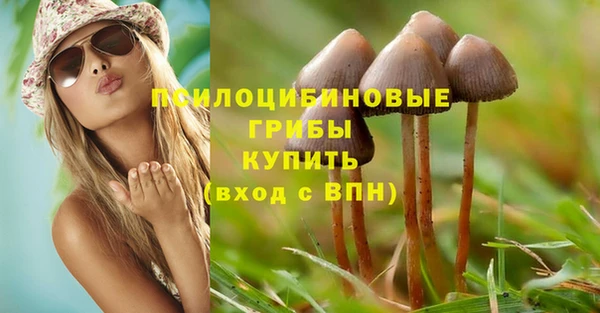 дживик Новокубанск