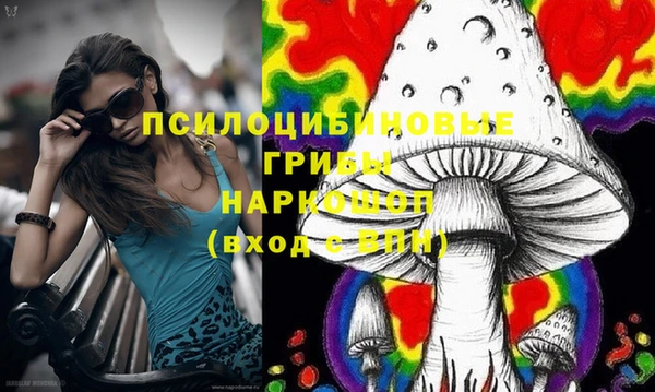 ALPHA PVP Новодвинск